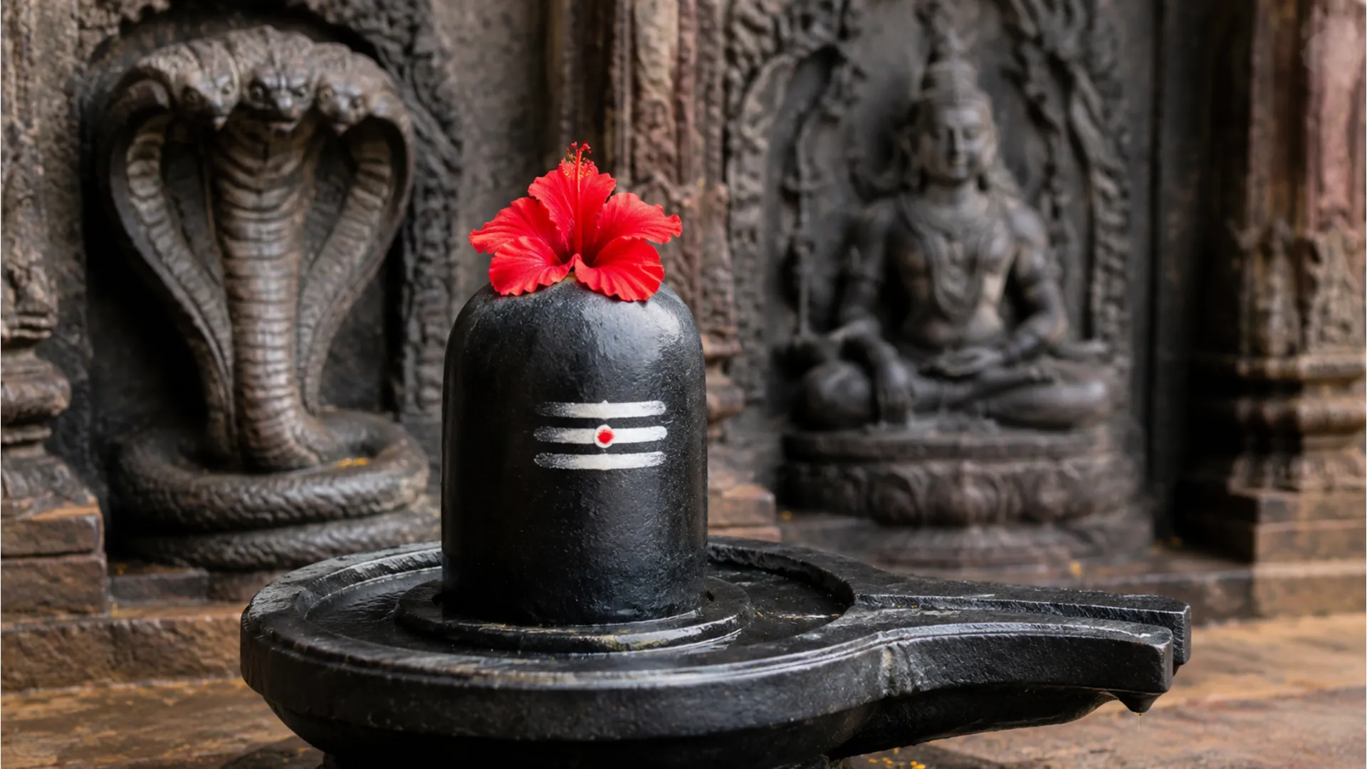 : black stone shiva lingam with red flower and cobra statue in temple
