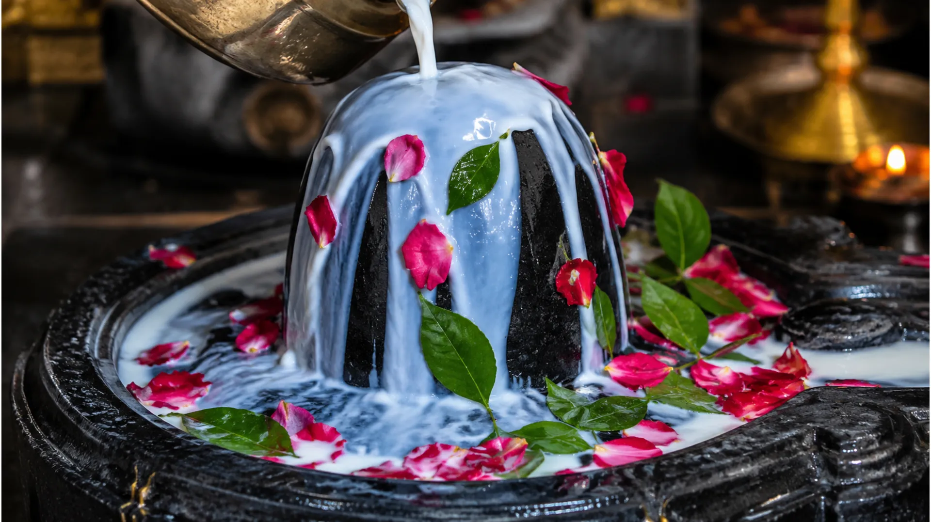 Ritual offering of white milk and red rose petals over a sacred Shiva lingam in 1080p resolution.