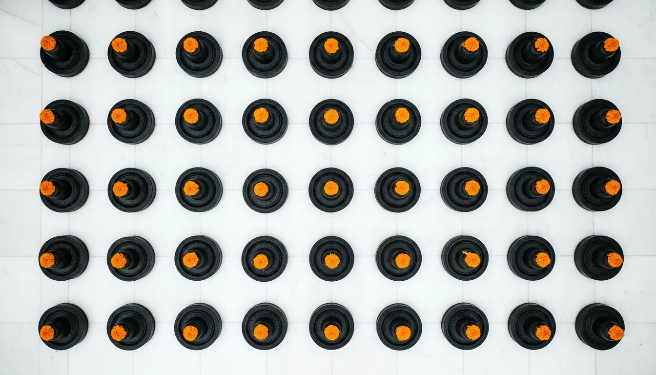 Top-down symmetrical view of 108 black stone Shivlings inside Omkareshwar temple.