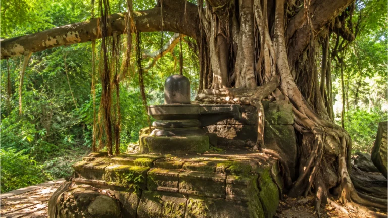 Ancient stone Mahadev Shivling resting beneath the roots of a sacred Banyan tree.