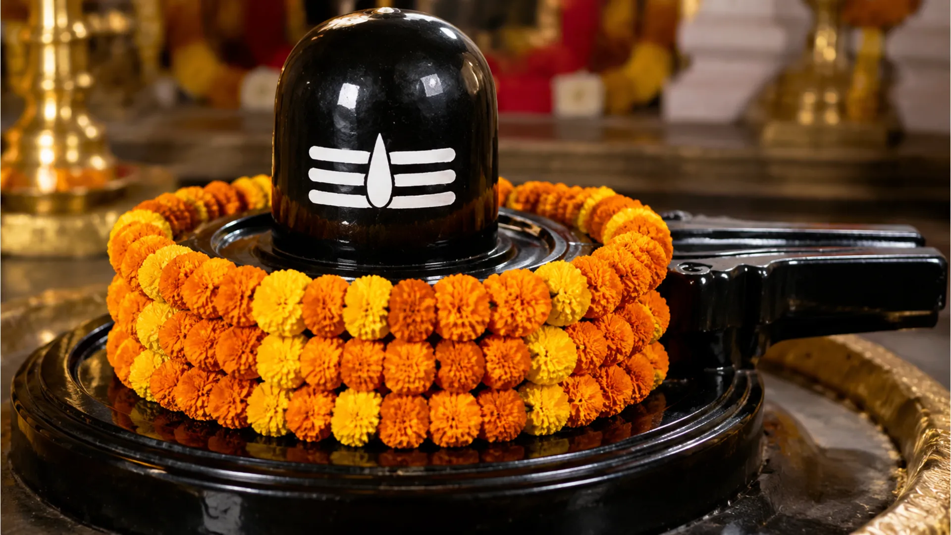 Polished black stone image shivling wrapped in bright orange marigold flowers