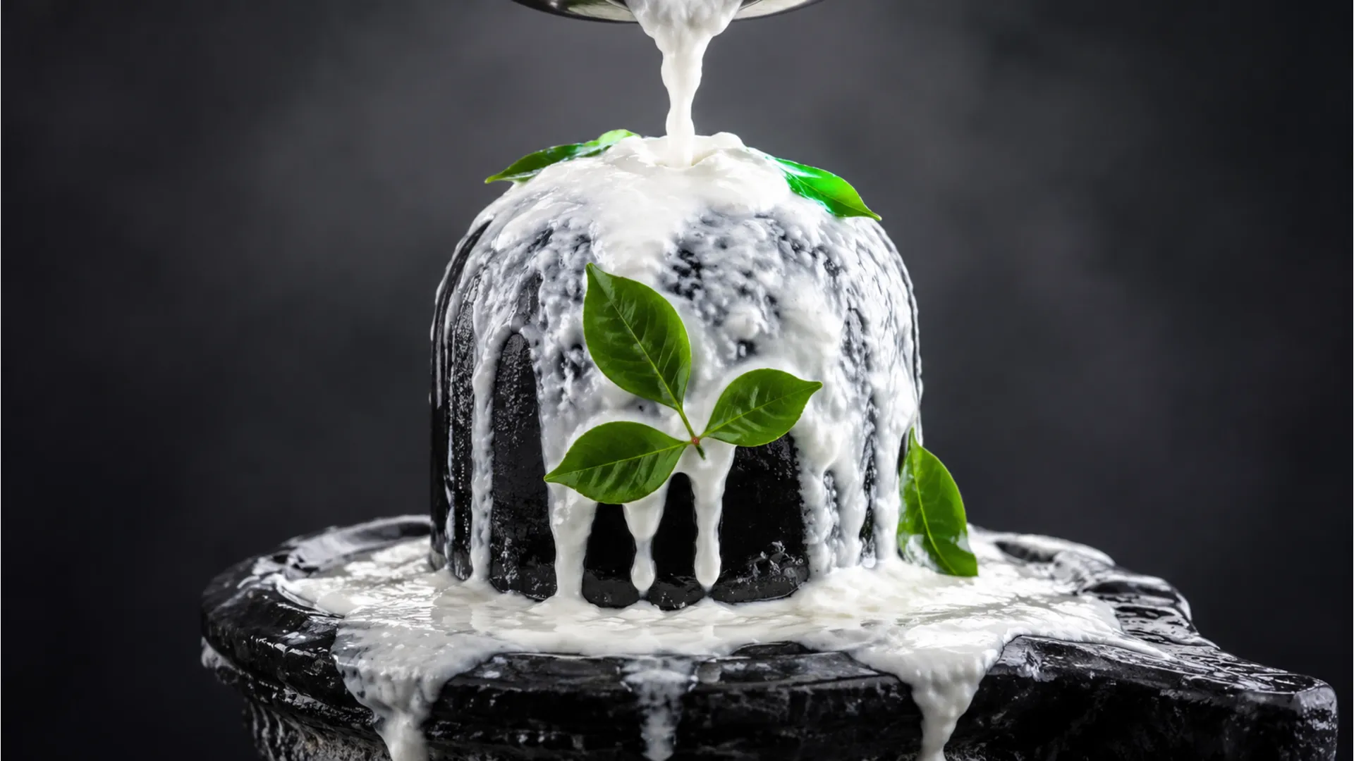 Thick, rich white curd being poured and decorated over a sacred black stone Shivling.