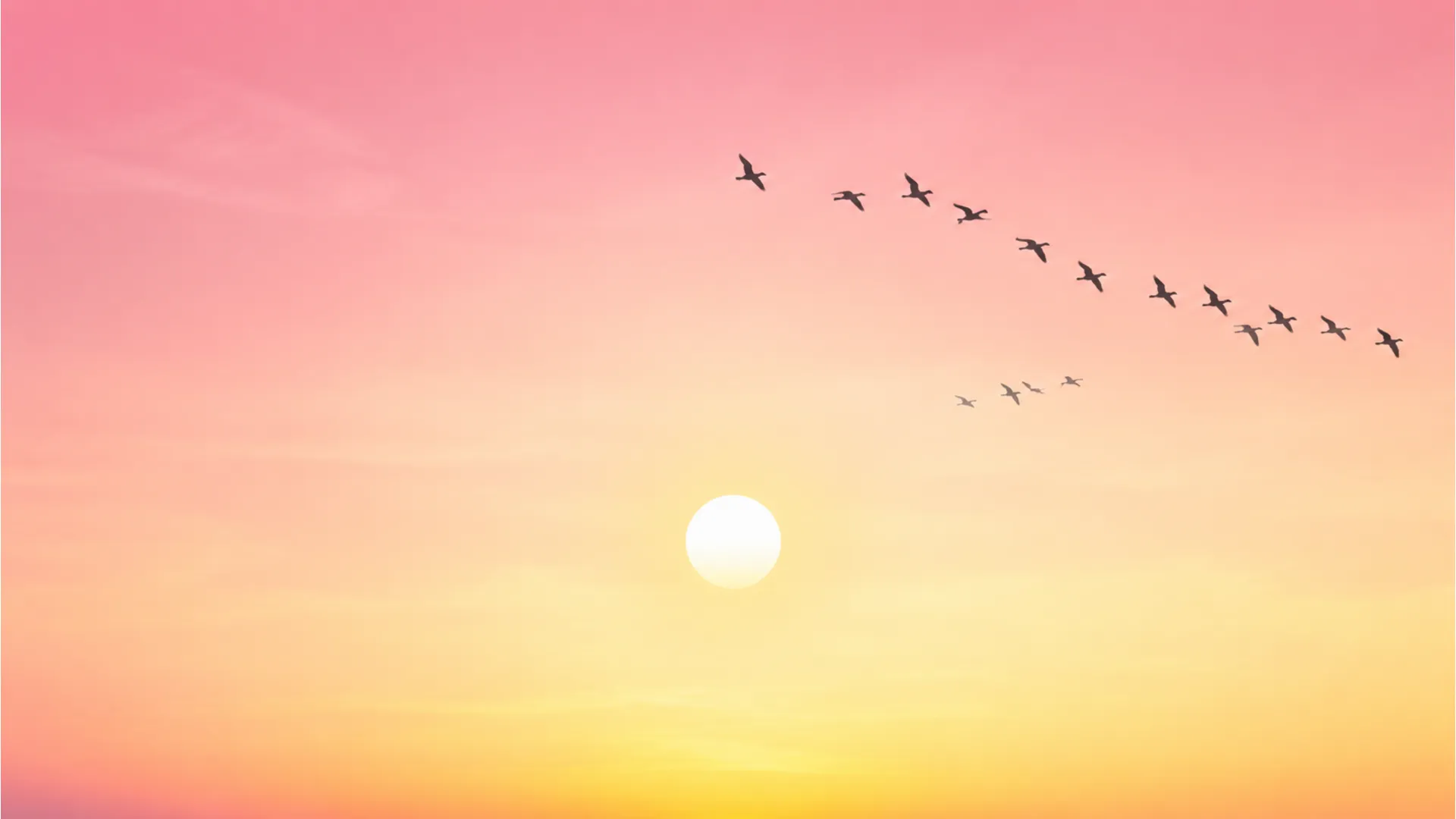 Minimalist morning sunrise sky with flying birds good morning Telugu aesthetic