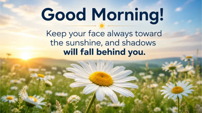 Field of white daisy flowers with inspirational morning quote