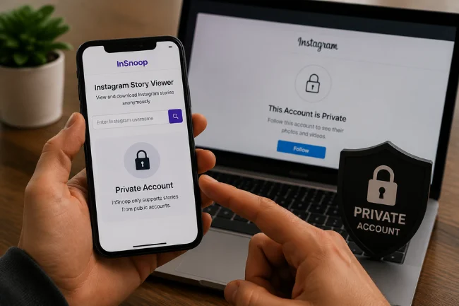 InSnoop private Instagram account viewer