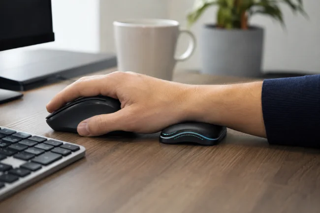 Badseed Tech Carpio ergonomic palm support setup