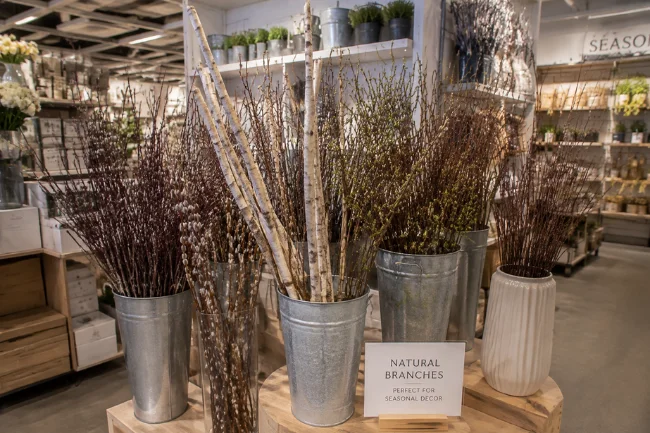 Pyntekvister branches for sale in plant shop