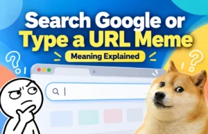 Search Google or Type a URL Meme