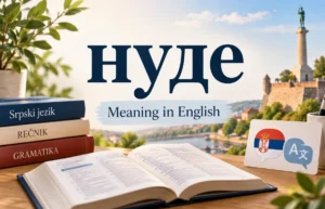 нуде meaning in English